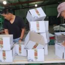 은골농장 이미지