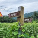 행복한찹쌀과배기 이미지