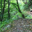 회룡민박 이미지