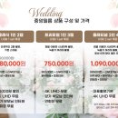 원피드캠 | 로얄파크컨벤션 파크홀 본식 DVD 코지레코드 계약 후기 (추천인코드 O, 짝궁할인)