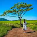 더클리프하우스 이미지