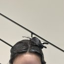 헤어 더 쿠(HAIR THE QOO) | 대구 삼덕동 “더프레젠트헤어” 여자 염색,남자 펌 후기