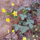 이호공원 이미지