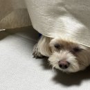 정인노래방 | 정시 원서 접수 마치고 써보는 2025 문답