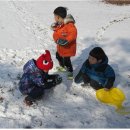 이솝 유치원 이미지