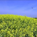 하늘정원1 이미지