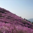 창원 천주산 진달래 산행공지!! (4월 4일 토요일) 이미지