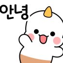 스마트앤루트