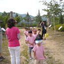 원당병설유치원 이미지