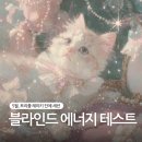 흥미 | 흥미로웠던 블라인드 에너지 테스트 후기