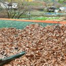 보문산로 이미지