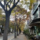 리폴티 | [안양 카페] 아기와 함께 자연을 즐기기 좋은 합리적인 카페 ‘리폴티 안양예술공원점’