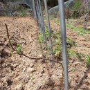 만경농장1 이미지