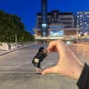 숙이네 들깨칼국수 | 칼국수집만 세번 나온다면 믿으시겠어요?