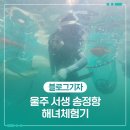 송정국도쉼터 | 울주 서생 송정항 해녀체험기