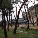 탈해왕릉 이미지