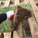 삼일농장 이미지