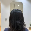 봄디아(Bom dia)