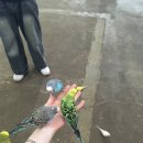 성재목장 이미지