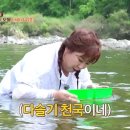 다슬기삼계탕 이미지