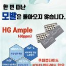 닥터모락 계양구청점 이미지