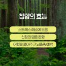 향만 이미지