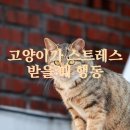 그루밍 - 전주시 덕진구 가재미로 26 | 그루밍