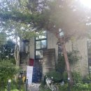 캣인큐브 이미지