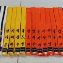 국가대표 MTA 태권도 이미지