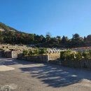 (재)팔당공원묘원 | 자하연 팔당 직접 알아본 후기 | 위치·평장묘·봉안묘 총정리 (2026 최신)