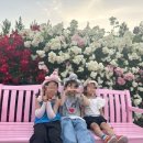 최씨과일 | 에버랜드 아이랑 가기 좋은 코스｜6살 친구들과 신나게 놀고 온 후기