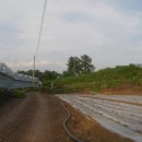 신평리 도요지 이미지