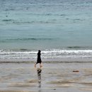 고산엉알 이미지