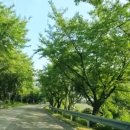 부석초등학교남대분교장 이미지