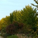 태화강 철새공원 이미지