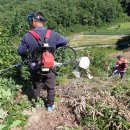 선두농장 이미지