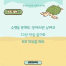 쥬키키