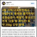 가능해짐 이미지