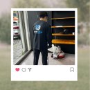 글로텍 | 경서 글로텍 마루광택기 연마기 추천 후기 돌돌이 사려면 16인치? 18인치?