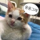 황제루