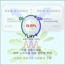 불안정한 외부 요인 영향 덜 받는 안정적 세포 생체리듬 기전 규명... 이미지