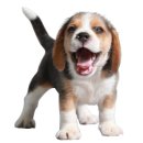 송정송어장모전점 이미지