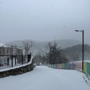 :: 국내 여행 :: 울산 라포레 소호 내돈내산 진짜 후기