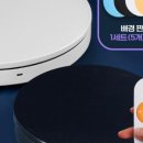 시네트리코리아