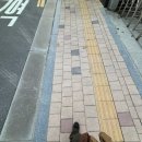 2차는 | 삼각지/용산 맛집_몽탄 후기 (Feat. 2차는 소화)