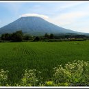 푸른농장2 이미지