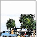 남일상회 이미지