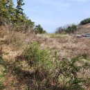 경보부동산중개사무소 이미지