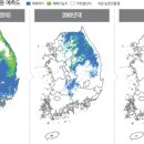 인삼나라