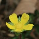 아름따다 이미지